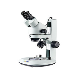 import placeholder for 519